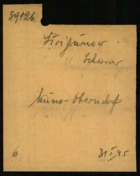 Archivdokument 001-105.jpg zu Fedor Strigunow