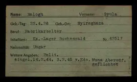 Archivdokument 001-217.jpg zu Gyula Balogh