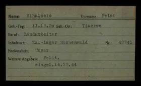 Archivdokument 001-256.jpg zu Peter Mihalcsic