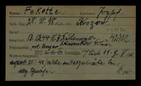 Archivdokument 001-265.jpg zu Jozef Fekette
