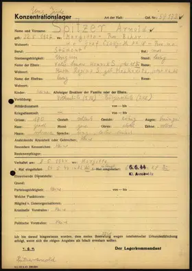 Archivdokument 001-336.jpg zu Arnold Spitzer