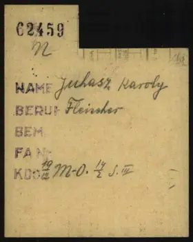 Archivdokument 001-371.jpg zu Karoly Juhasz