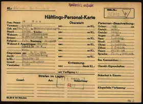 Archivdokument 001-398.jpg zu Marcel de Vos