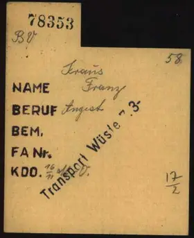 Archivdokument 001-482.jpg zu Franz Kraus