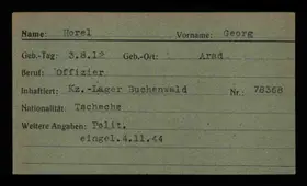 Archivdokument 001-487.jpg zu Georg Horel