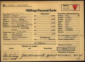 Archivdokument 001-496.jpg zu Ottelio Fabris