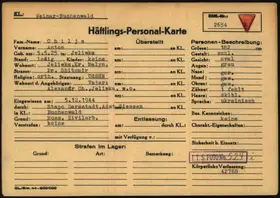 Archivdokument 001-53.jpg zu Anton Chilja