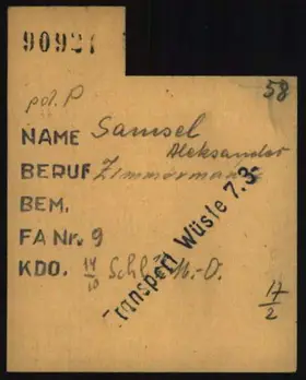 Archivdokument 001-551.jpg zu Aleksander Samsel